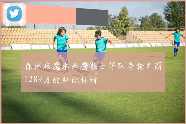 森林狼魔术老鹰骑士等队争抢年薪1289万的科比怀特