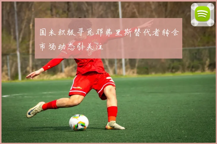 国米积极寻觅邓弗里斯替代者转会市场动态引关注