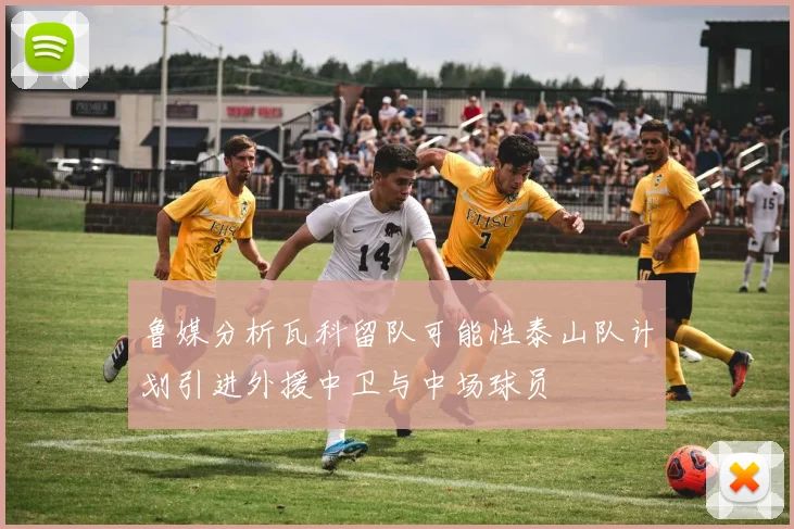 鲁媒分析瓦科留队可能性泰山队计划引进外援中卫与中场球员