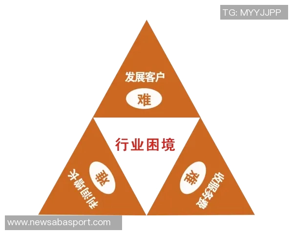 中赫持续依赖投资人支持与商业收入维持运营困境